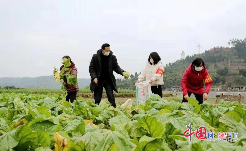 仁壽：隔離不隔生產(chǎn)? 黨員干部齊幫忙