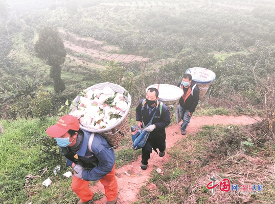 眉山東坡：目標標準不降 扶貧精力不減