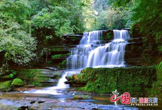 國家級森林康養基地（第一批）：洪雅縣玉屏山森林康養基地成功“升級” 