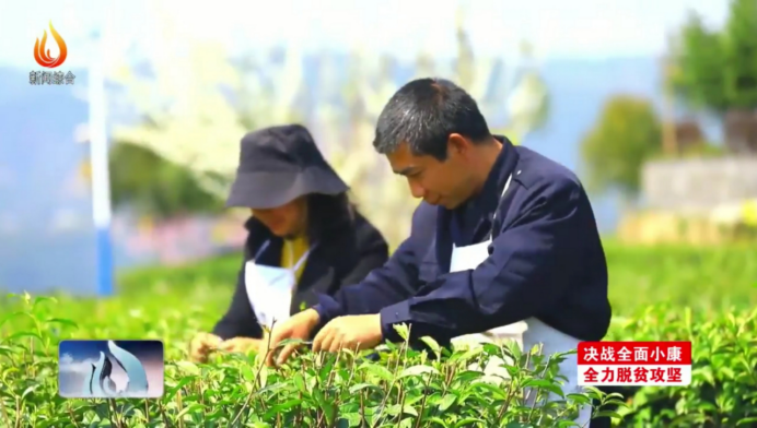 【抗擊疫情】達州萬源市：“插花式”就業扶貧 4萬餘名貧困群眾穩定增收