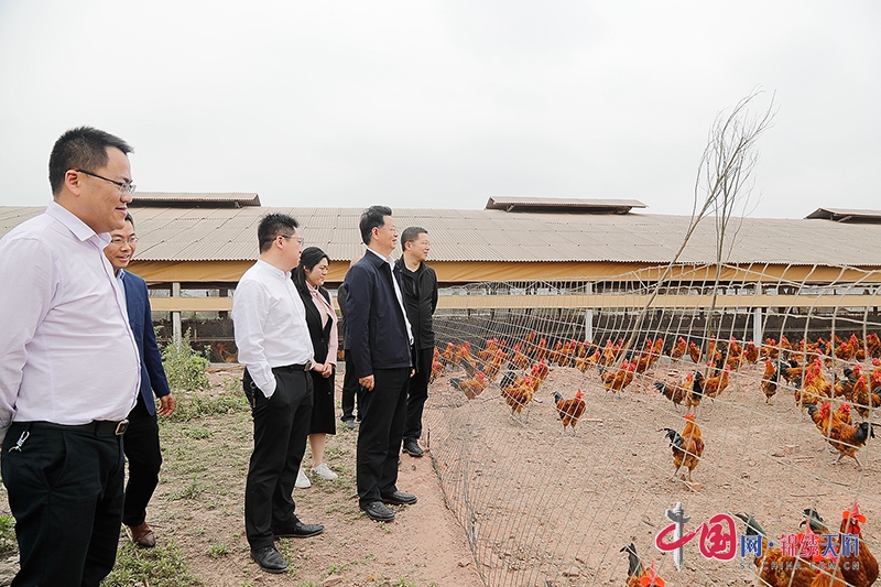 自贡大安：加强基础配套设施全覆盖 助力推进乡村全面振兴