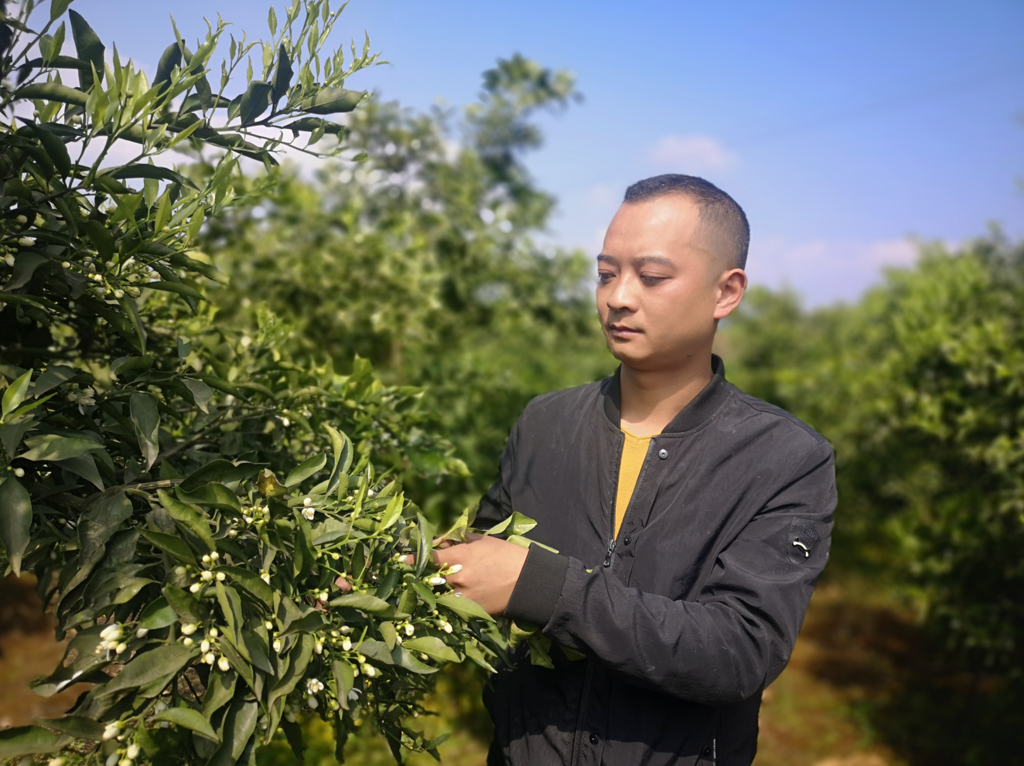 尋路築夢 丹棱農村青年的奮鬥之旅