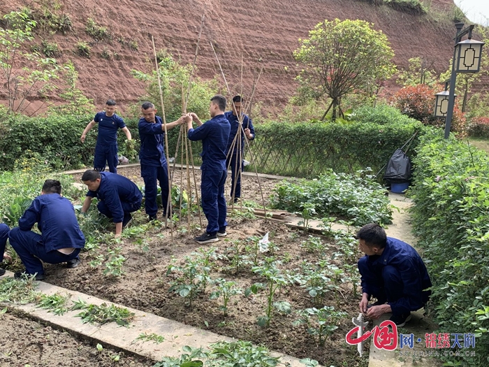 經(jīng)開區(qū)消防救援大隊政府專職消防隊打造庭院“菜園子”