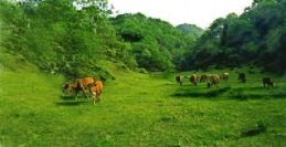 廣元：川北“小九寨” 朝天水磨溝之韻