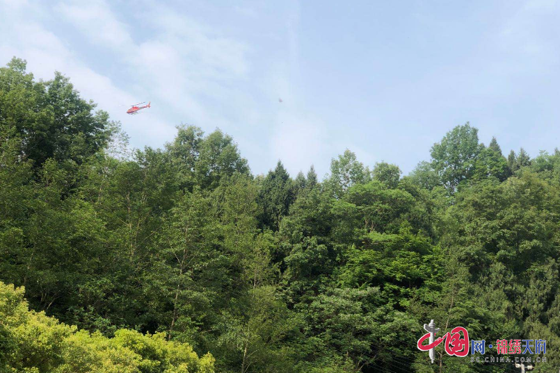 阆中市自然资源和规划局对3万亩林区实行直升机洒药防治