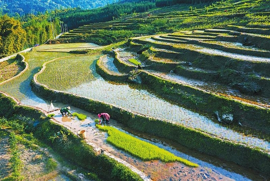 玉屏梯田成眉山市洪雅县新的网红旅游地