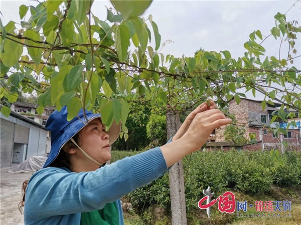 堅守“初心” 只為家鄉變得更好