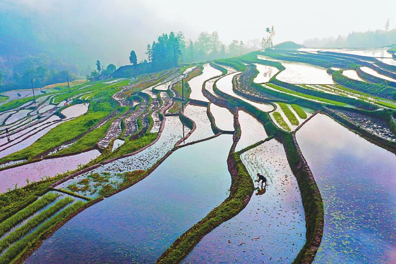 四川万亩水田美景成为乡村旅游打卡地