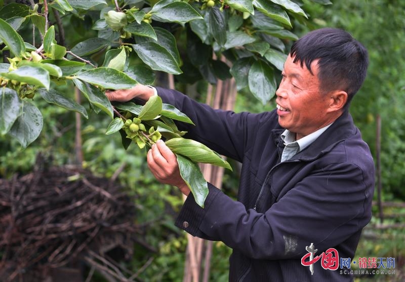 南充市嘉陵區(qū):“怪人”莫正強(qiáng) 四年拒絕吃低保