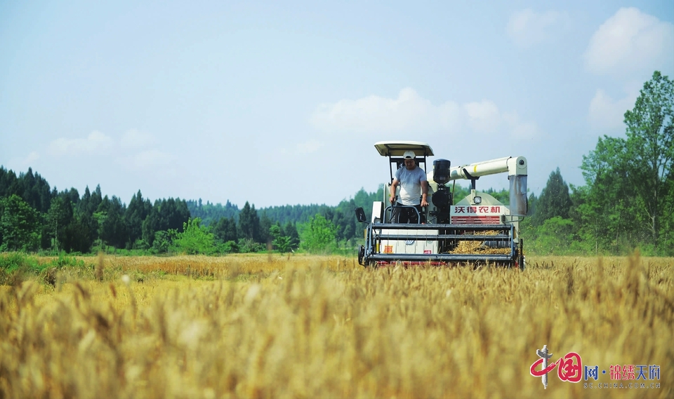 蓬安县农业机械化率达60% 粮油作物机械化播栽面积达到38万亩
