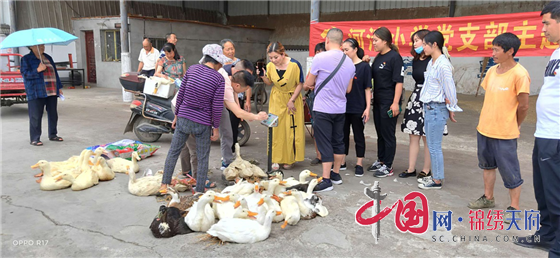 綿陽市安州區(qū)河清鎮(zhèn)小學開展“扶貧回購趕集日”暨黨員主題教育活動