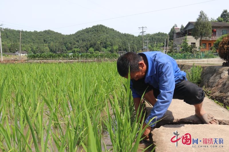 西充縣槐樹鎮(zhèn)觀音壩村：趙宗信從貧困戶到“萬元戶”的逆襲之路