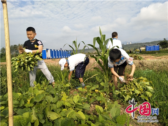 綿陽(yáng)江油市三合小學(xué)開展勞動(dòng)實(shí)踐活動(dòng)