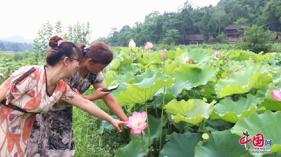 南充西充：殘疾人家庭農(nóng)場引來“取經(jīng)團(tuán)”