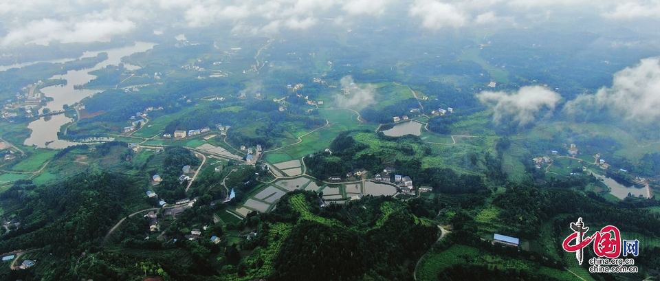 南充市推進(jìn)糧食生產(chǎn) 恢復(fù)生豬產(chǎn)能 促進(jìn)科技興農(nóng)