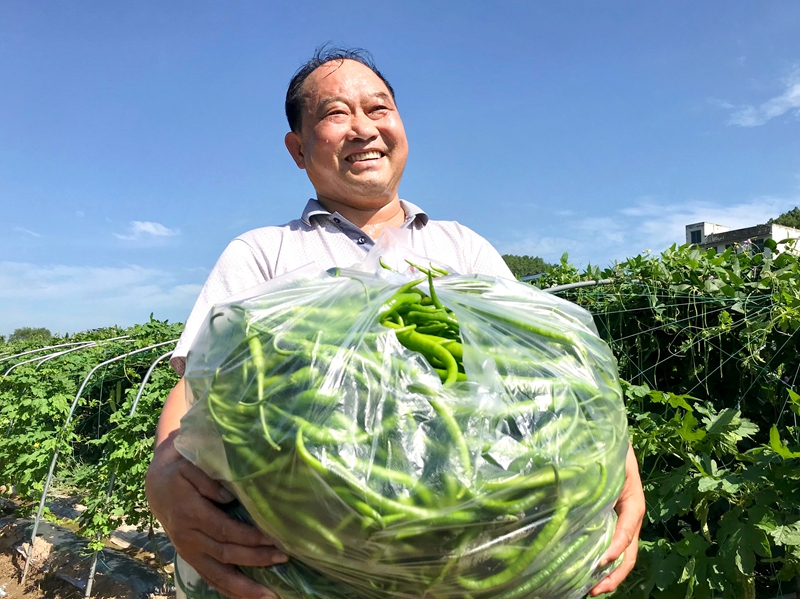 广元旺苍县发展蔬菜产业 铺就绿色致富路