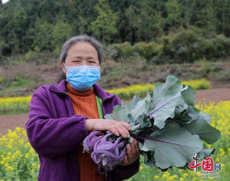 中國農(nóng)業(yè)銀行南充分行大力支持農(nóng)業(yè)現(xiàn)代化發(fā)展