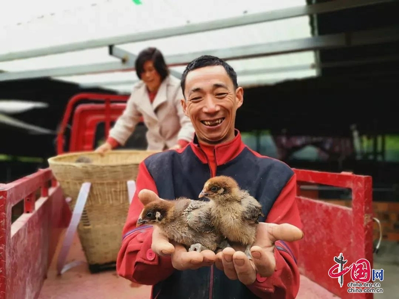 雨城區(qū)以農(nóng)產(chǎn)品質(zhì)量安全“新名片” 助陣“短中長(zhǎng)”產(chǎn)業(yè)發(fā)展