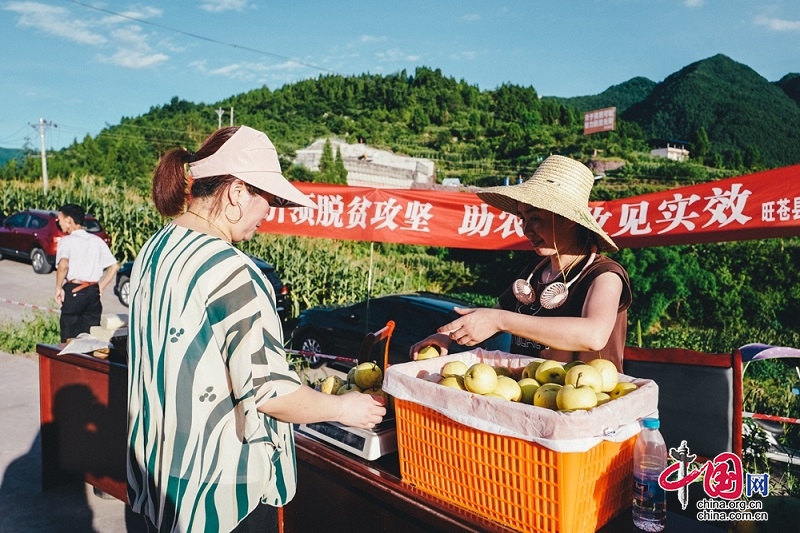 四川旺苍：蔬菜产业鼓起农民“钱袋子”