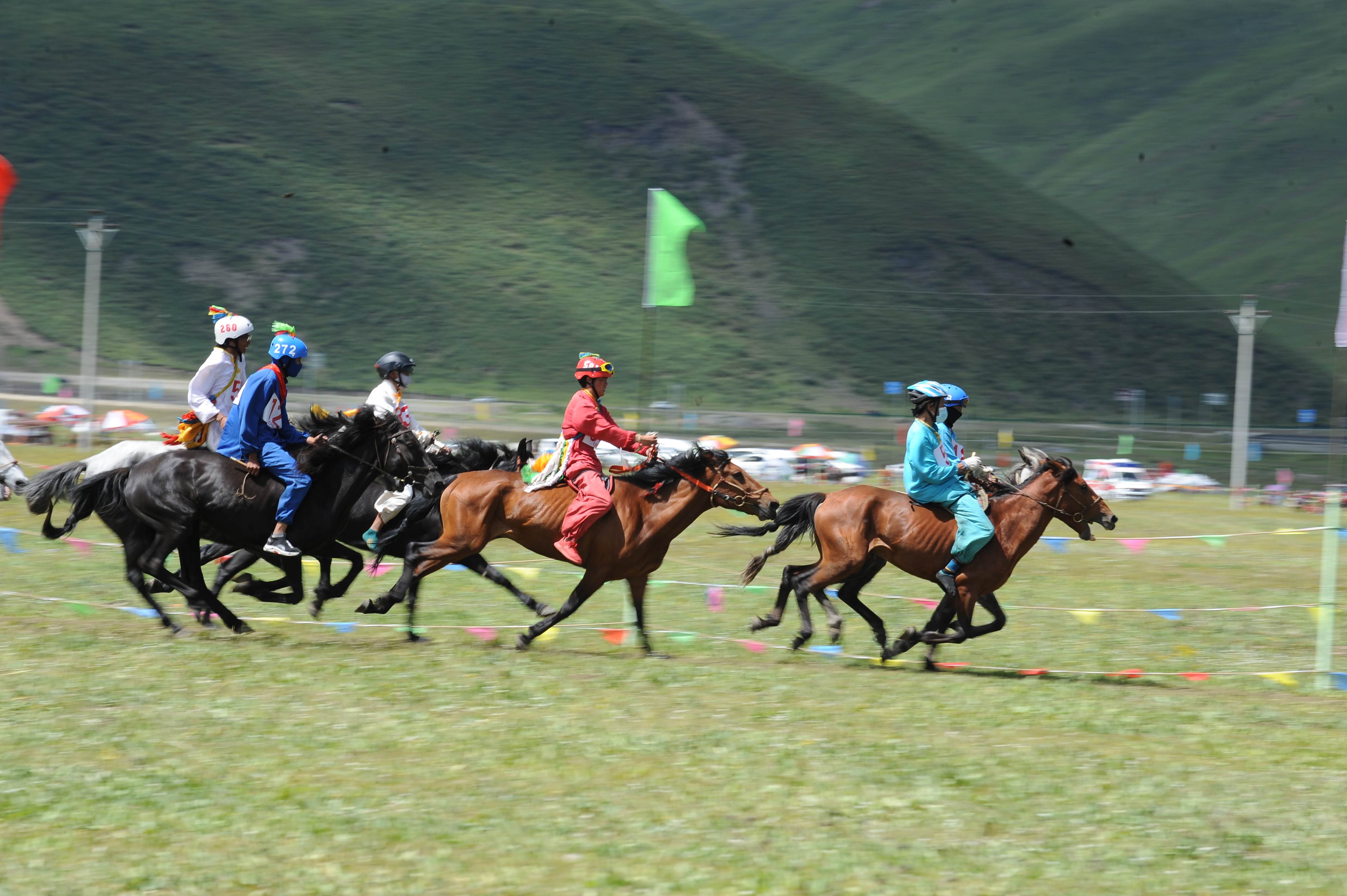 海拔4000米的金馬草原上演馬背上的“激情與速度”