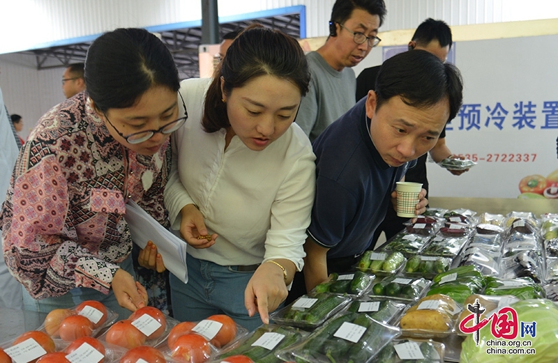 “川東北山地蔬菜專家大院”落戶廣元朝天