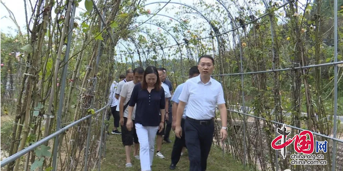 西充县委书记孙骏带队到县城至莲池文旅融合产业带项目现场办公