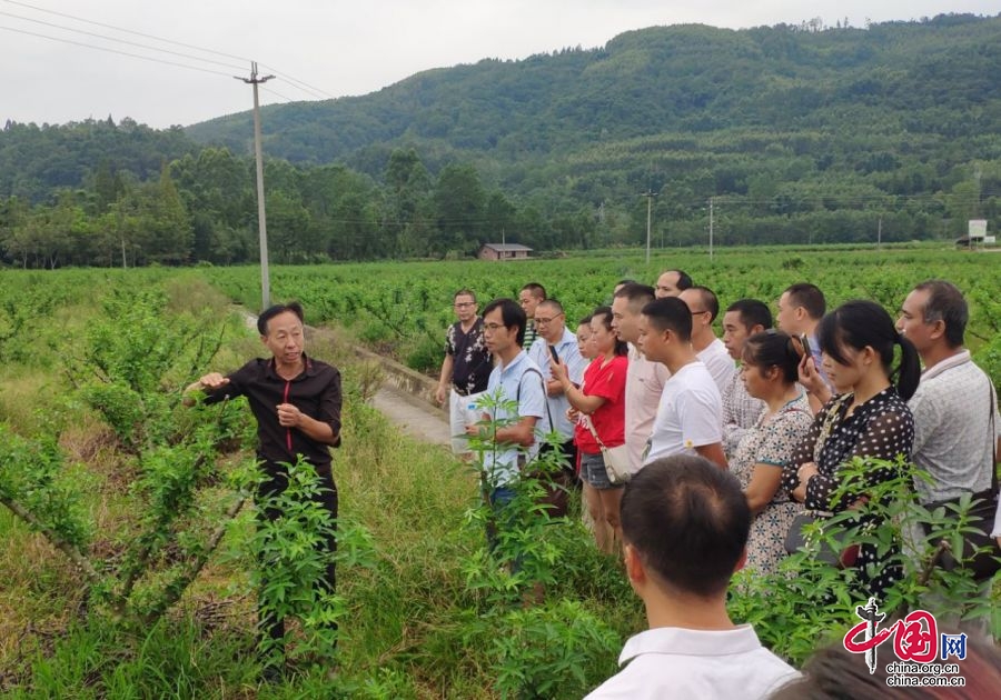 為了大地的豐收“土專家”扎根黃土地