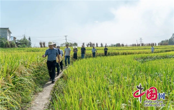 鄭胡勇考察項(xiàng)目選址 切實(shí)推動(dòng)項(xiàng)目落地建設(shè)