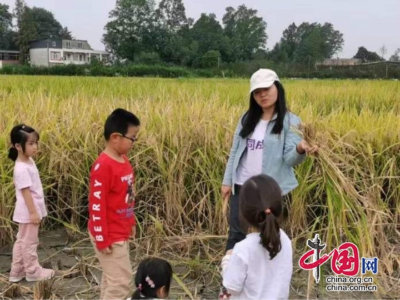 成都市溫江區萬春鎮開展幼兒園農事體驗活動