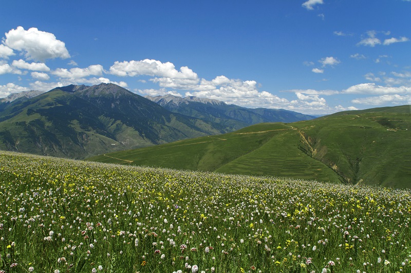 甘孜州道孚县：守护绿水青山 培育金山银山