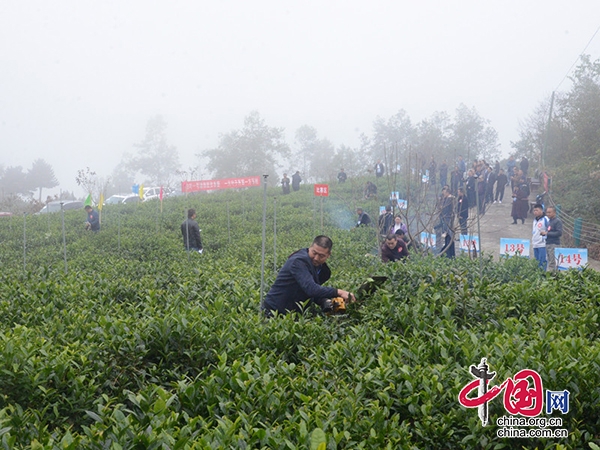 廣元第八屆職業技能競賽暨首屆茶産業職業技能競賽在青川開賽 