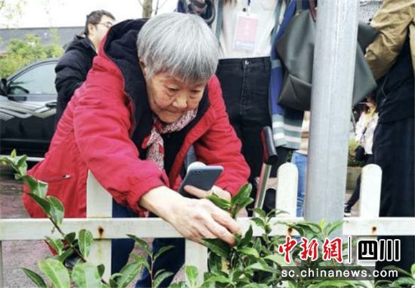 “冰心之女”吳青：呵護(hù)好雅安的綠水青山