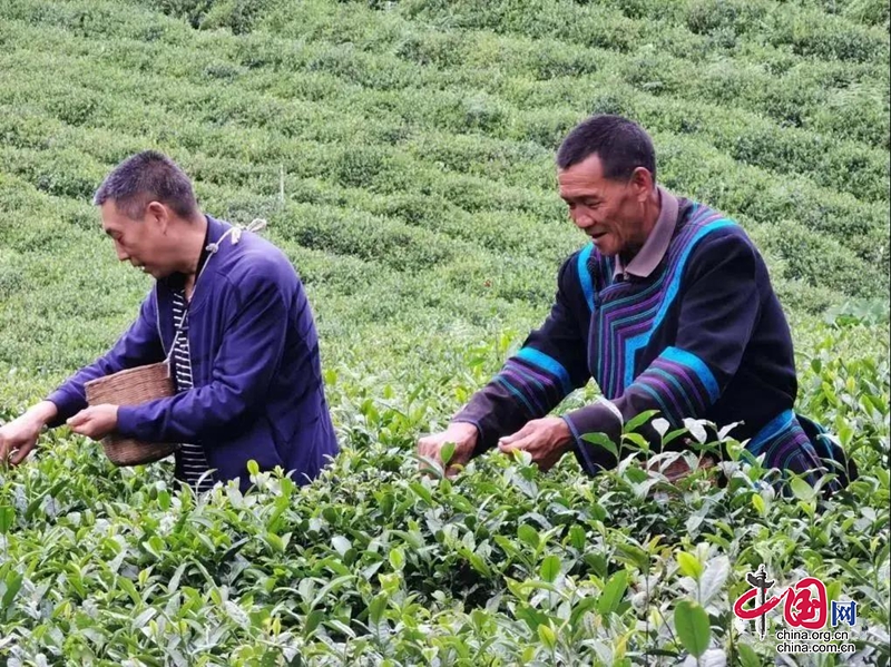 一位彝鄉扶貧路上的“跋涉者”