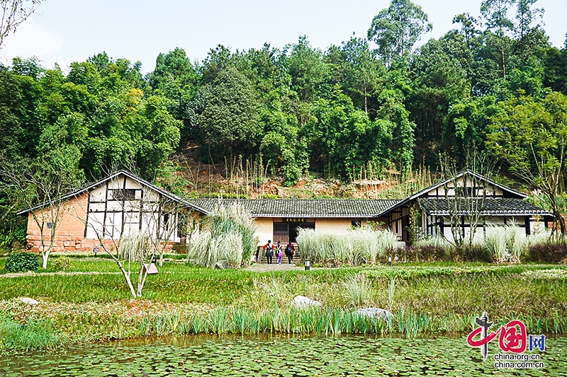 自贡：乡村旅游线路展现“中国灯城”文旅魅力