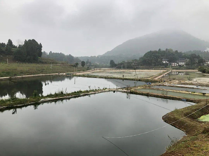 脱贫攻坚显成效 乡村面貌大变样——射洪市复兴镇胡桥村脱贫攻坚纪实