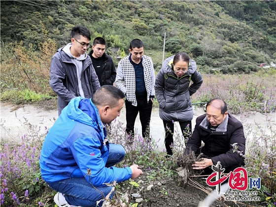 四川天一學院持續芍藥幫扶 助力鄉村振興