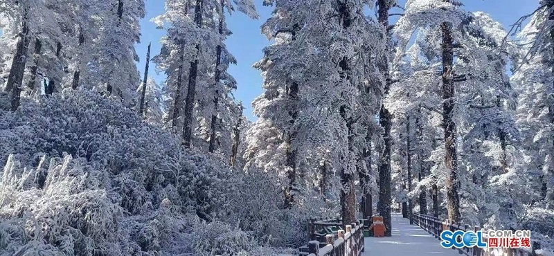 下雪了！洪雅瓦屋山景區(qū)迎來(lái)入冬后第一場(chǎng)雪