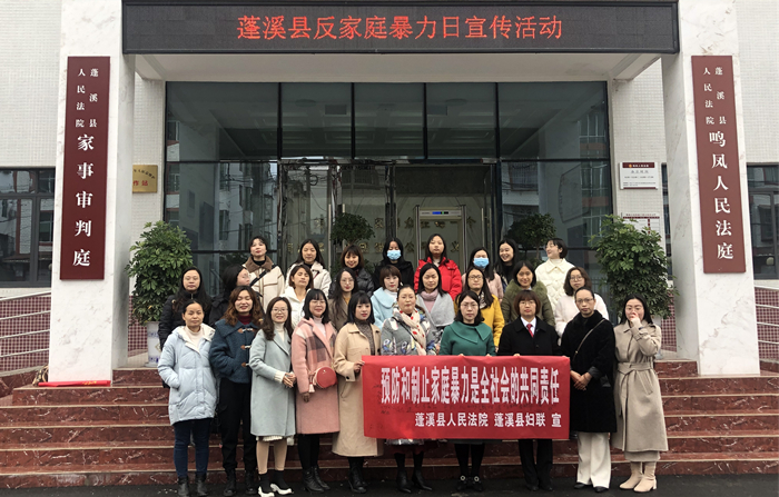 蓬溪县法院与县妇联共同开展“反家暴日”法律宣传活动