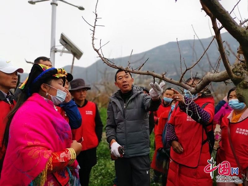 金川县果农学习团到茂县学习冬季果树管理实用技术
