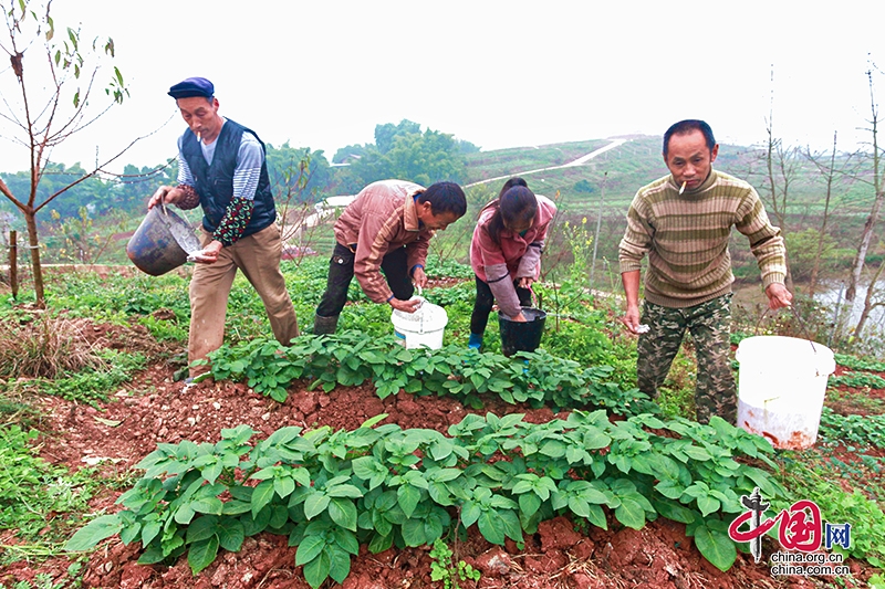 自贡自流井：土里“生”金 水里“淘”金 飞龙峡镇绿水青山助脱贫