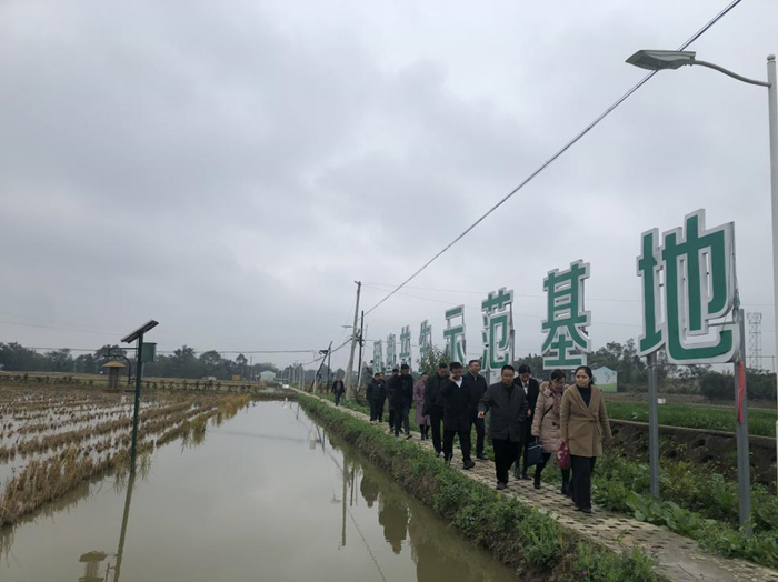 四川省绿色食品发展中心专家莅遂指导三家大米地标申报工作