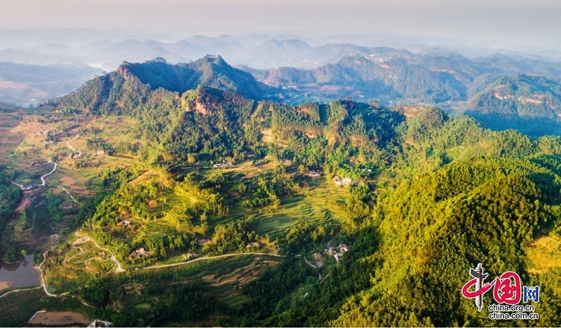 青神扮靚竹林風景線 鋪展綠水青山新畫卷