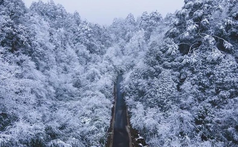 雪中龙苍沟，绝美人间仙境！