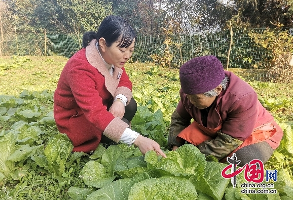 阆中市基层纪检监察干部倾心帮助群众 以实际行动书写暖心故事