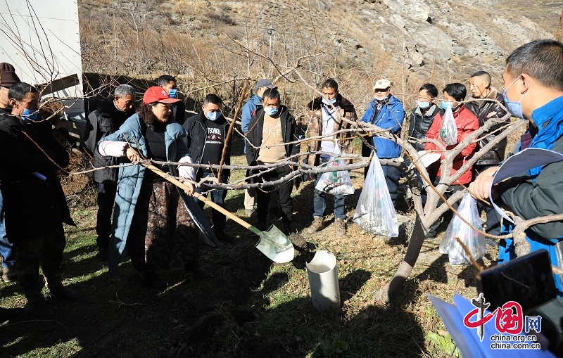 四川省对外友好协会邀请农技专家到茂县开展冬季果树种植技术培训