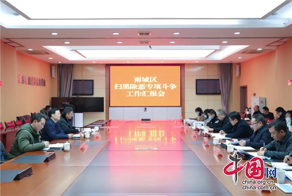 雅安市委常委、政法委書記楊軍到雨城區調研指導“掃黑除惡”專項工作