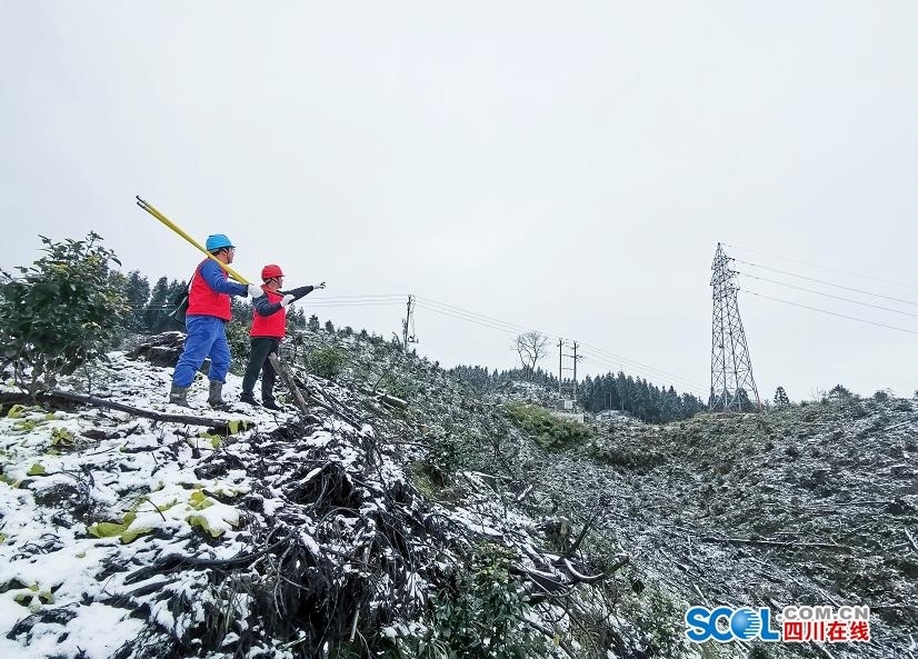 踏雪巡线！洪雅供电公司确保电网安全运行