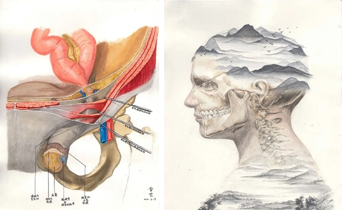 不会解剖的医学生不是个好画手！成都这群医学生画出极美解剖图