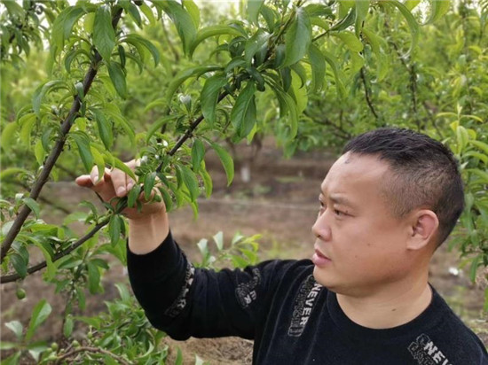 創業雖艱辛 未來更可期 東坡區富牛鎮長虹社區返鄉農民工徐永剛的創業之路