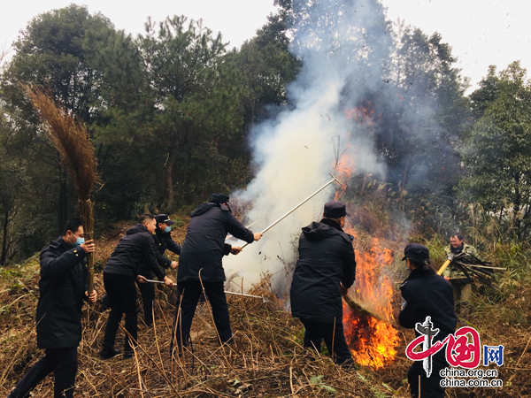 翠屏區李莊鎮：開展森林防滅火演練  提升應急處置能力